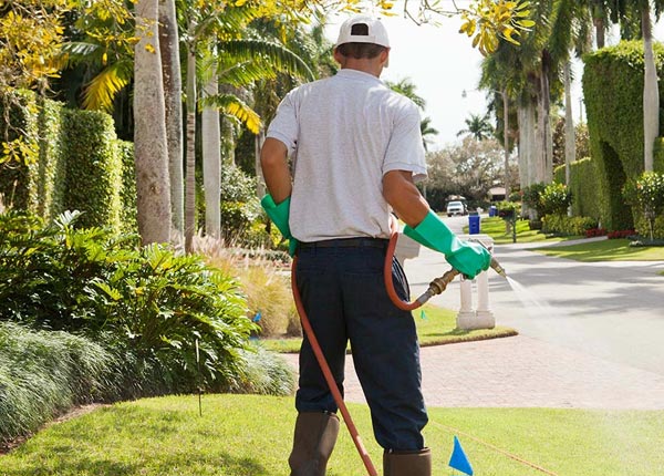 About Highland Park MI Pest Control Pros